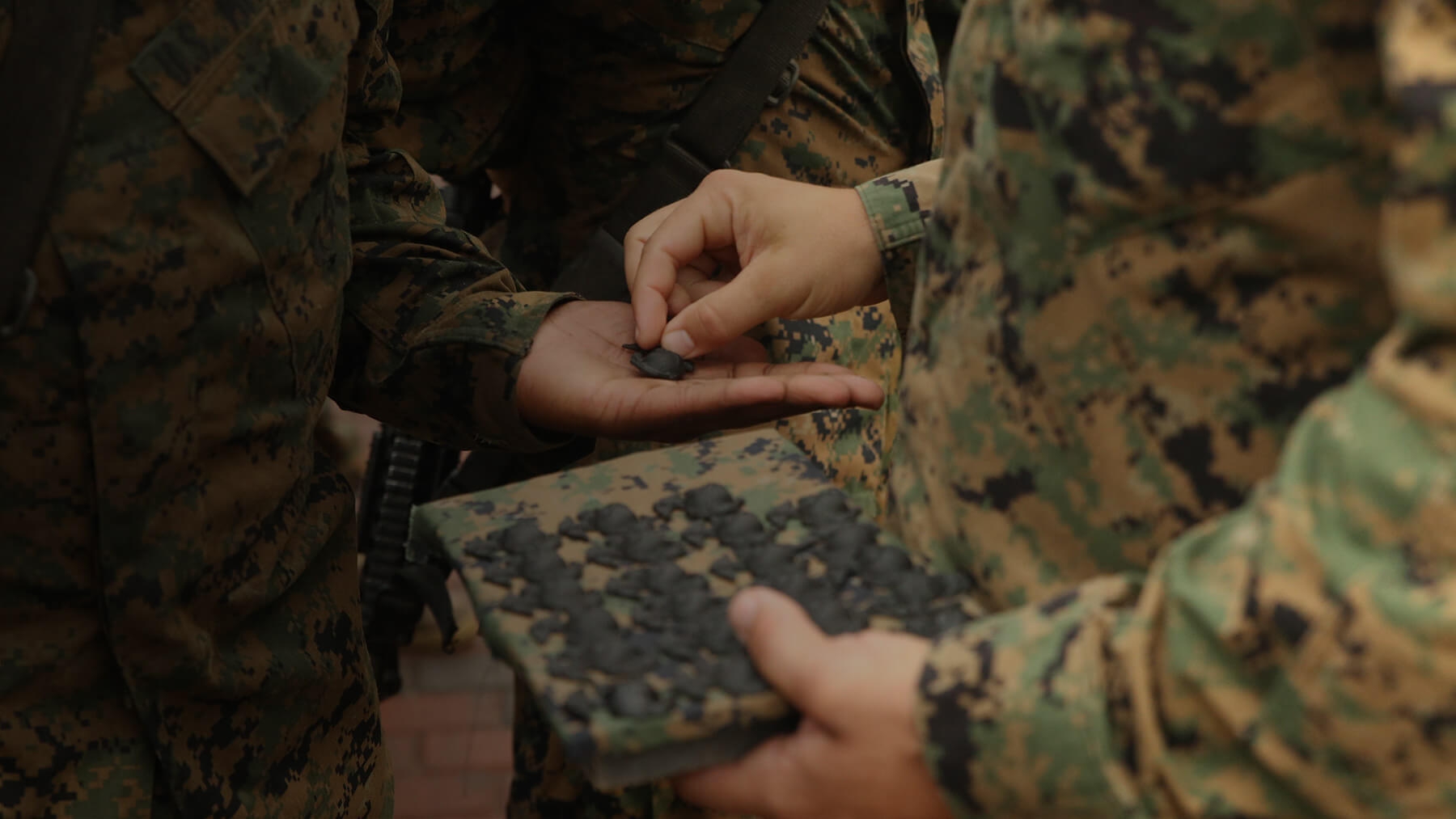 Marine Corps Boot Camp Recruit Training & Fitness Marines